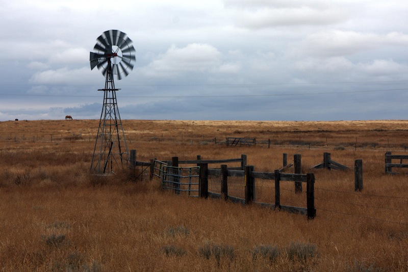 Home on the Range