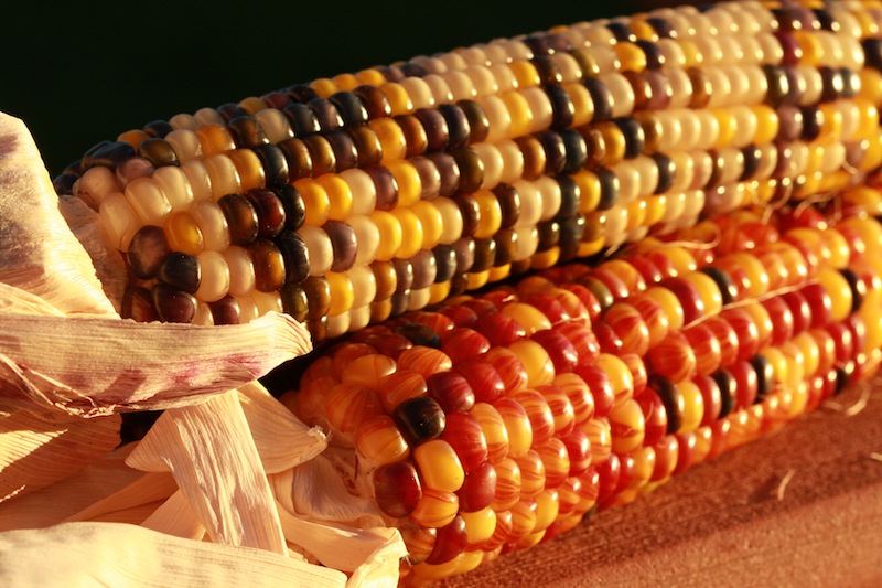 How Corny
