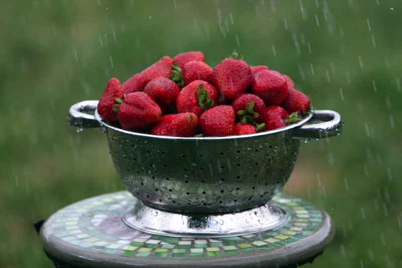 fresh strawberries